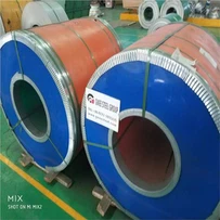 Type 321 Coil
